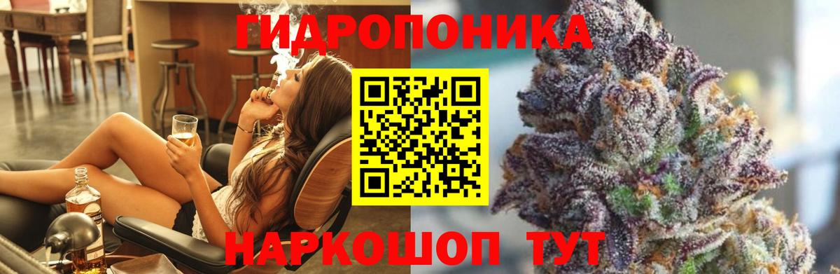 Бошки Шишки планчик  Канабис AK-47  Кудрово  Конопля конопля  Вход с VPN 